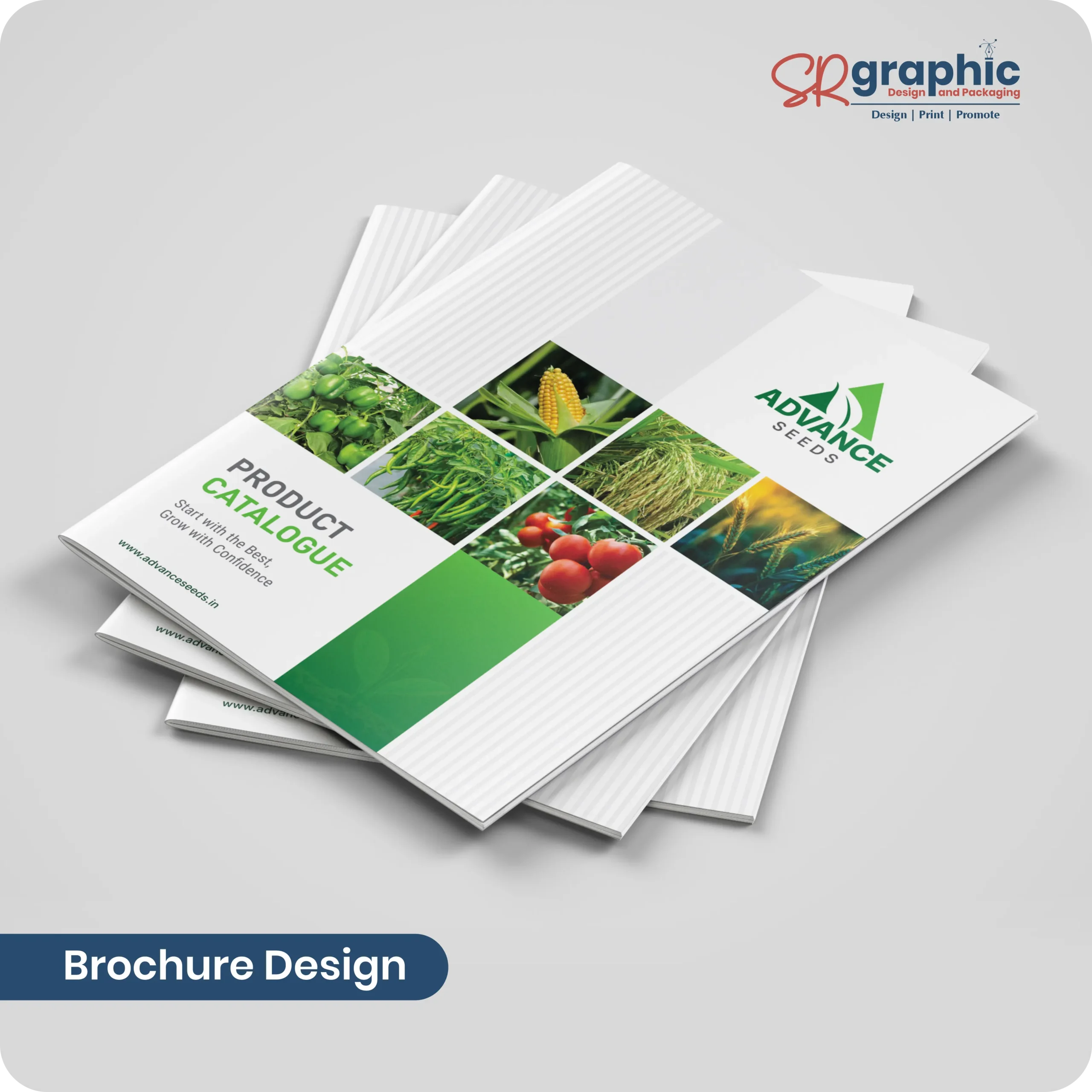 Catalogue Design Services by SR Graphic - Professional Catalogue Design and Print in Gorakhpur